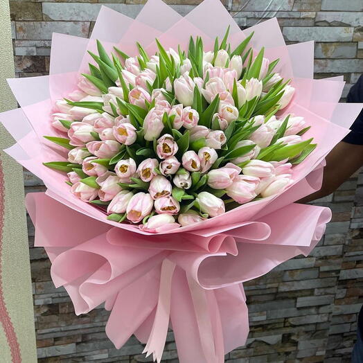 65 stem pink tulip