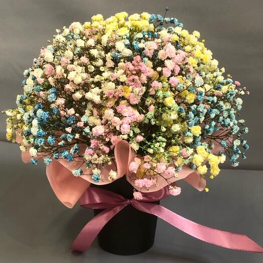 A cup of gypsophila