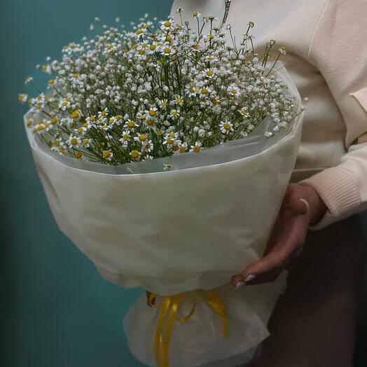 Букет Ромашки Камилла с Гипсофилой