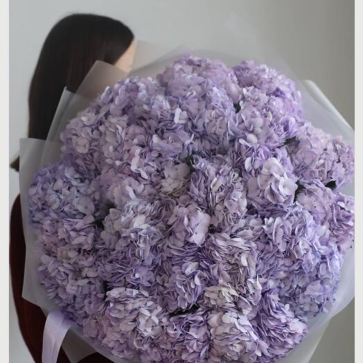 51 фиолетовая 💜 гортензия