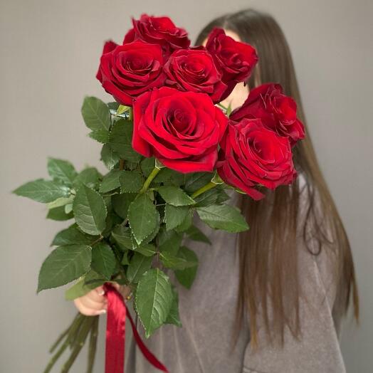 7 красных роз под ленту 🌹
