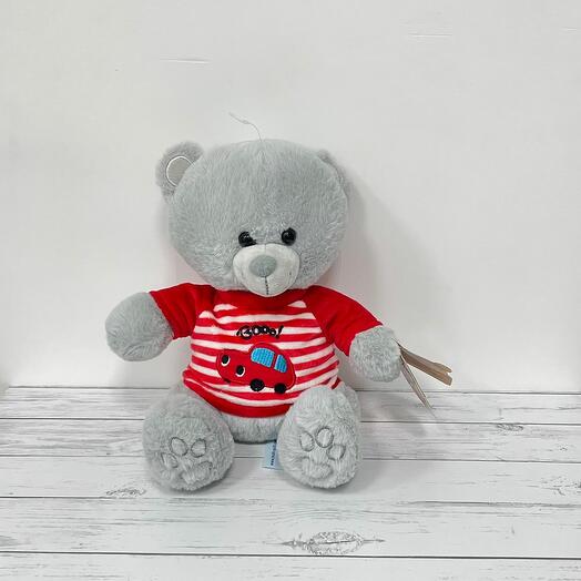 Teddy bear grey in a red sweater
