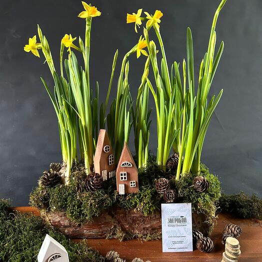 Цветущий садик с нарциссами