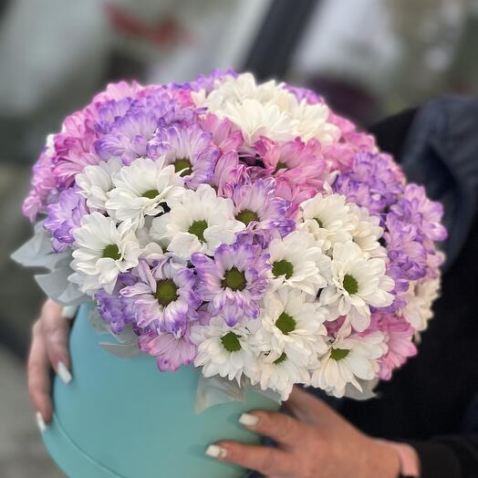 Разноцветные ромашки