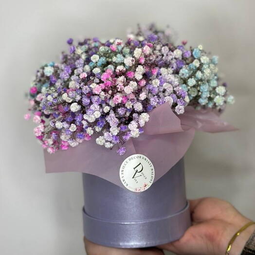 Gypsophila colored in a box
