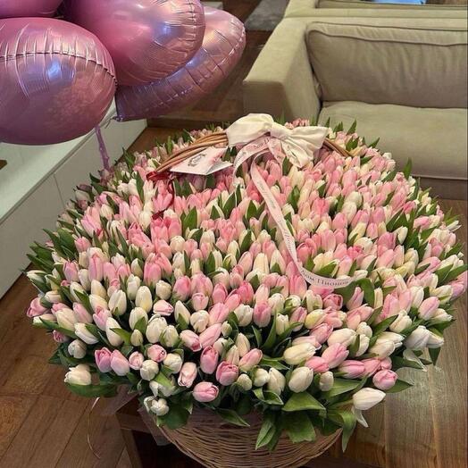 501 тюльпан в корзине голландия️💜🖤💕