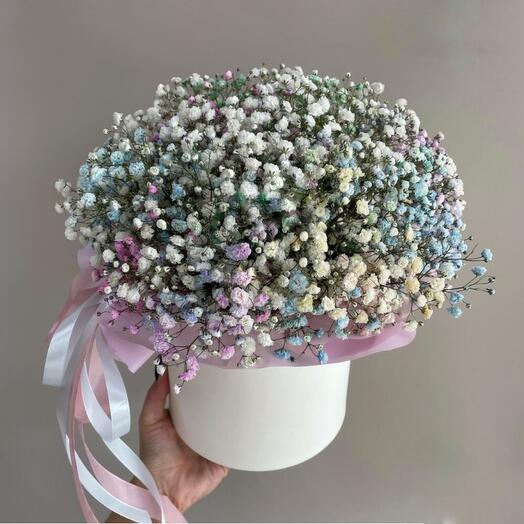 Gypsophila en la Caja del sombrero 3