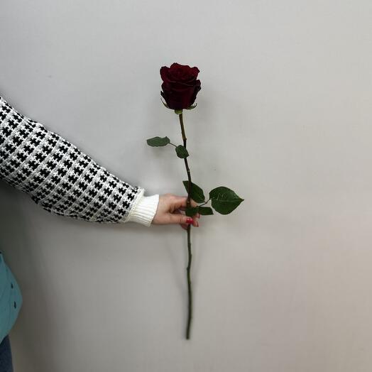 Алые розы Эквадор 70см