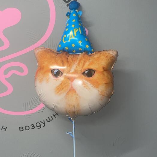 Шар фигура котик в колпачке