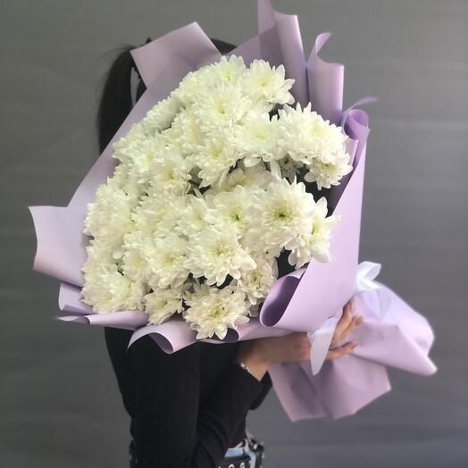 7 Кустовых Хризантем DR0150347