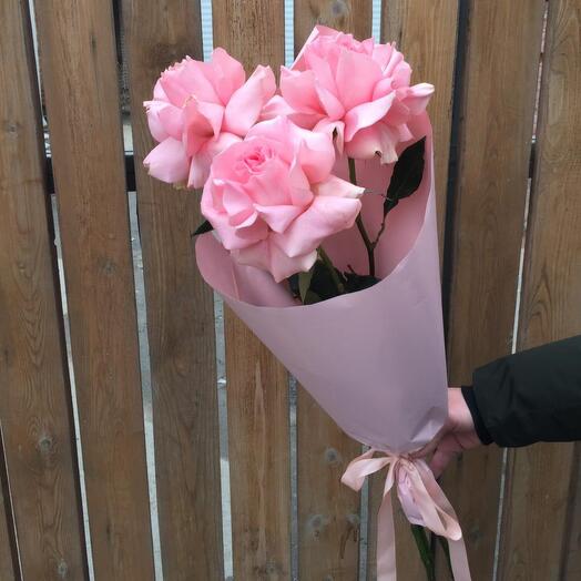 Rosas Rosadas