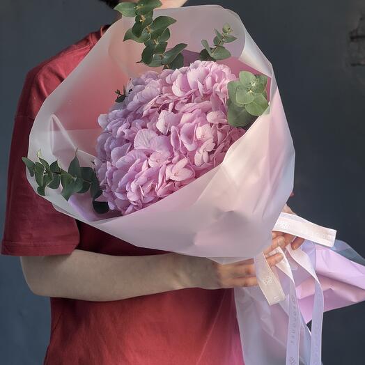 Pink hydrangea with Eucalyptus