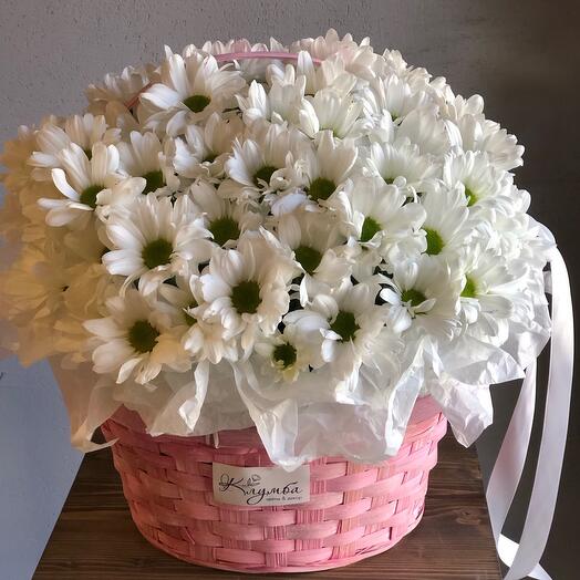 Корзина с ромашковой хризантемой