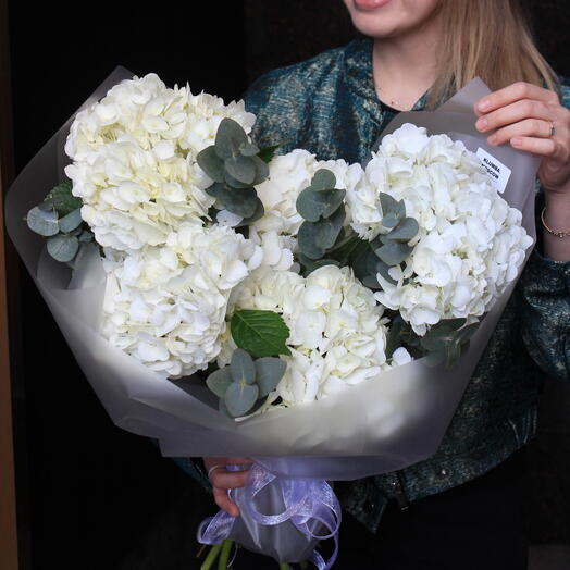 White hydrangeas with eucalyptus