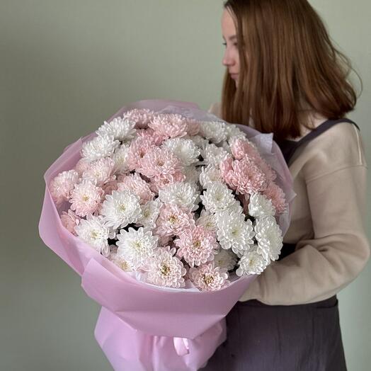 Monobook of 11 marshmallow chrysanthemums