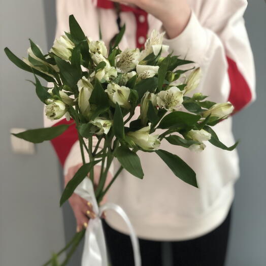 Альстромерии стойкие 🤍