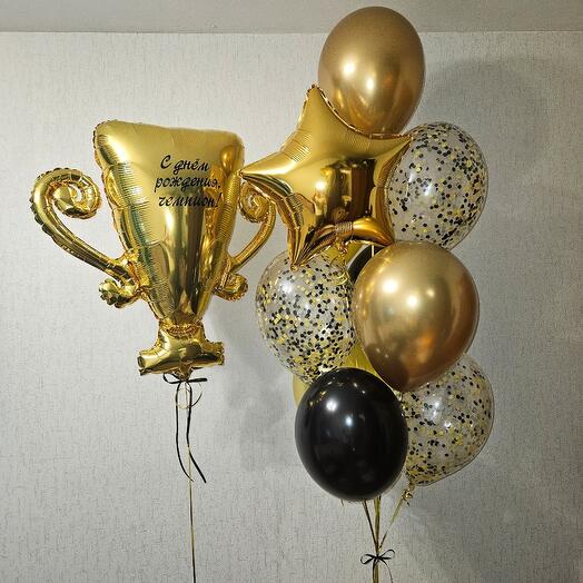 Набор шаров чемпиона с золотым кубком 11 шаров