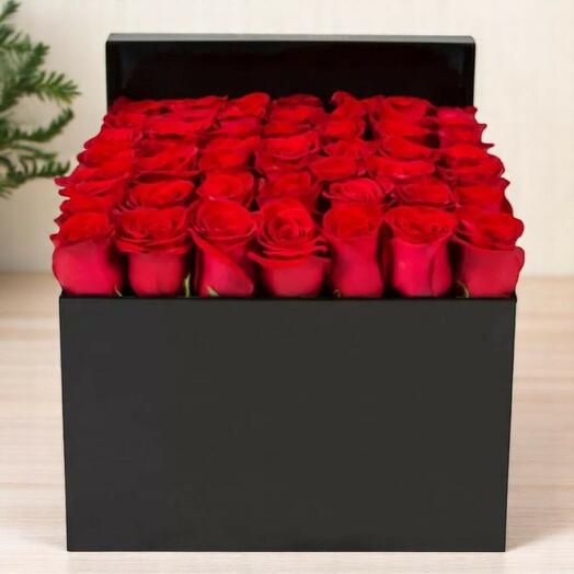 Romantic Red Roses