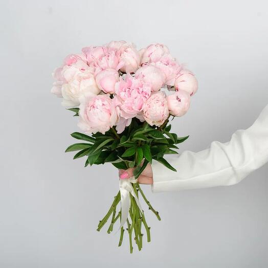 Букет из 15 пионов💖💖💖💖💖