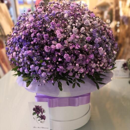 Гипсофила в шляпной коробке S