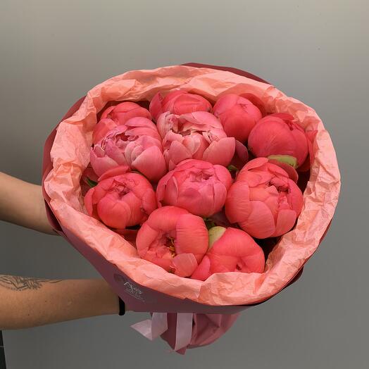 11 коралловых пионов