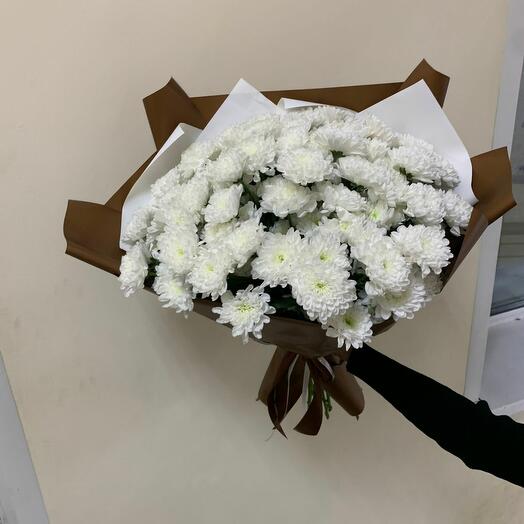 Хризантема кустовая Алтай