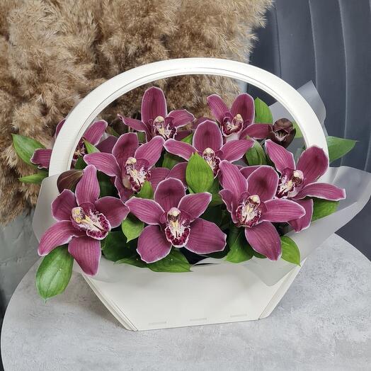 Летняя композиция из орхидей в ящике