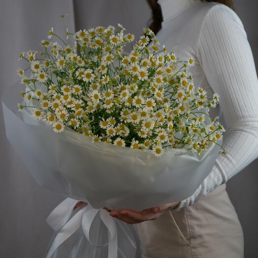 Ромашки летний букет для любимой 🌼