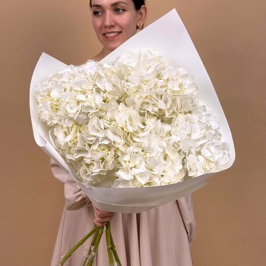 Белые гортензии