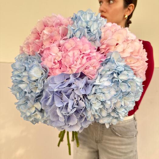 Охапка гортензий 7 шт 🌸