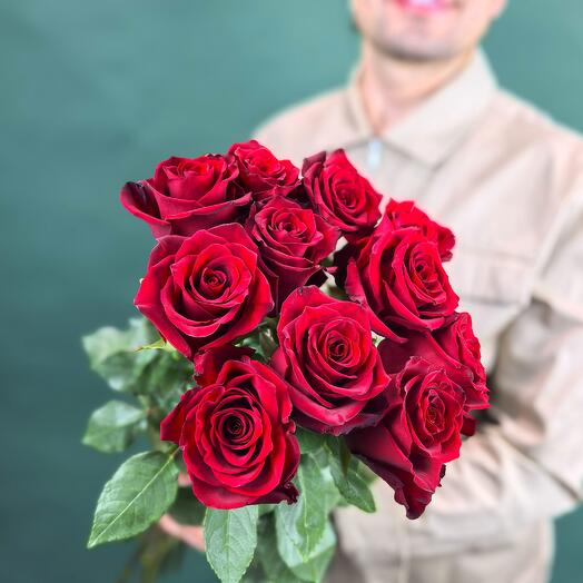Красная роза Эксплорер Explorer 11 шт