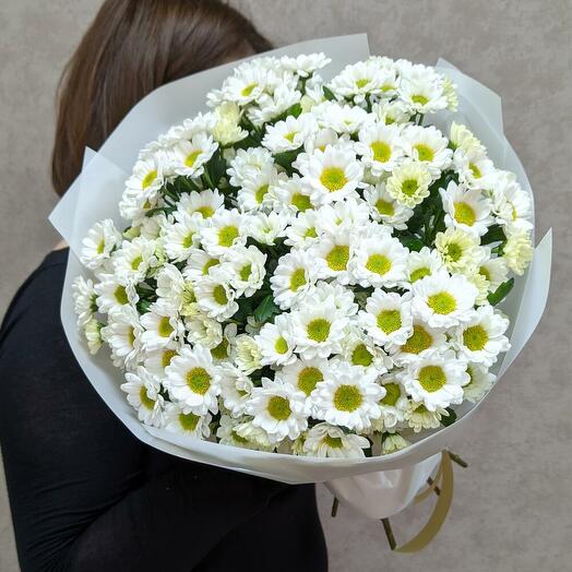 Ромашки белые