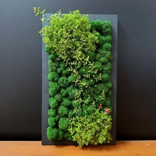 Картина из мха на стену подарок