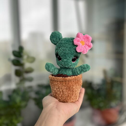 Кактусёнок