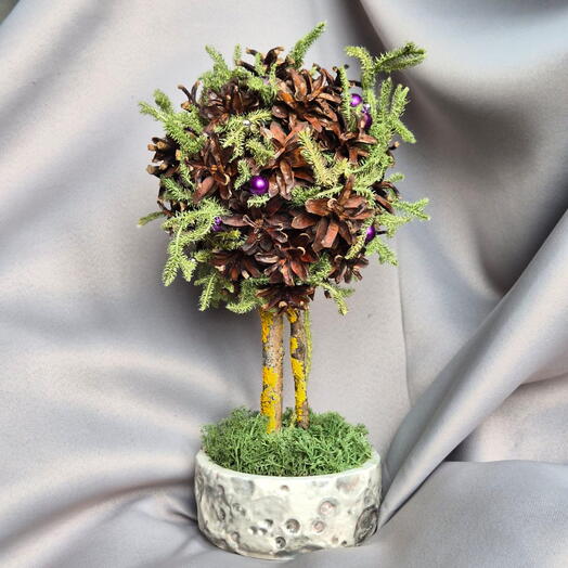 Топиарий из сосновых шишек и мха