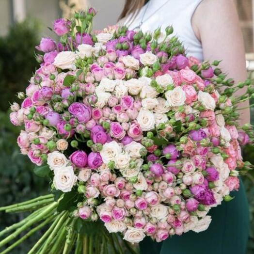 Wonderful Peony-shaped Roses
