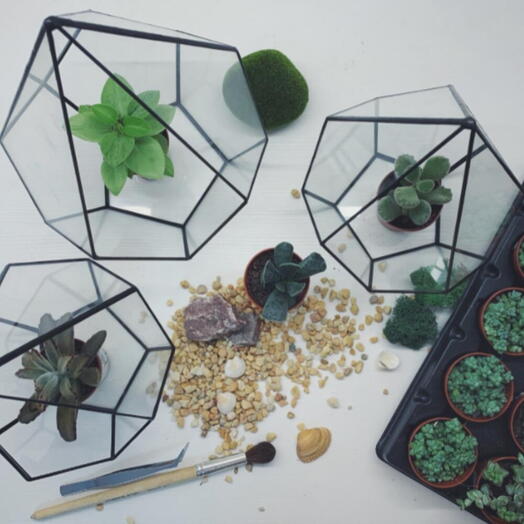 🎀Мастер-класс по созданию флорариума «S» с суккулентом 1 участник 1 час 💝
