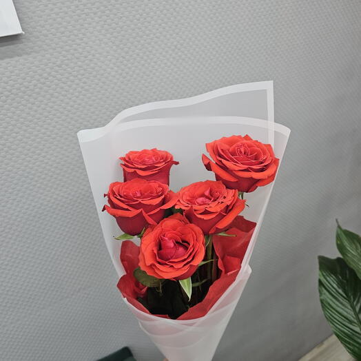 Розы 5