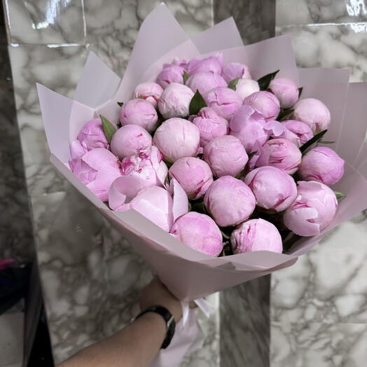 Пионы Сара Бернард 💞