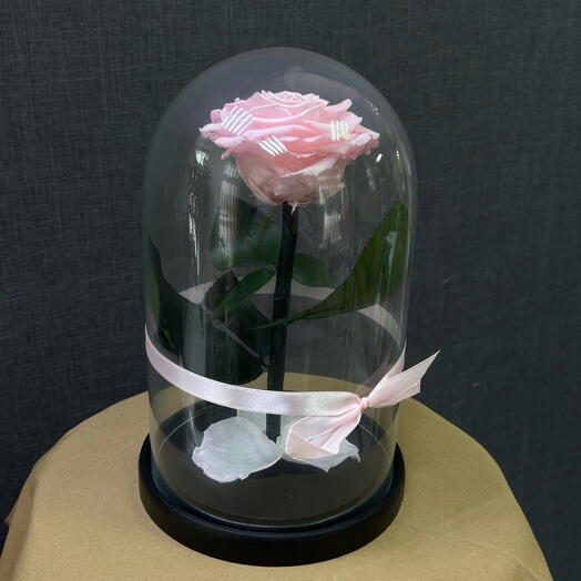Роза в колбе — Pink Rose