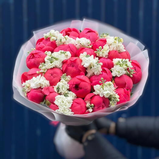 Coral Charm peonies 21 stems with fragrant stock
