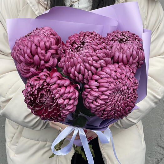 Сезонное предложение ️ 5 хризантем Бигуди (purple)