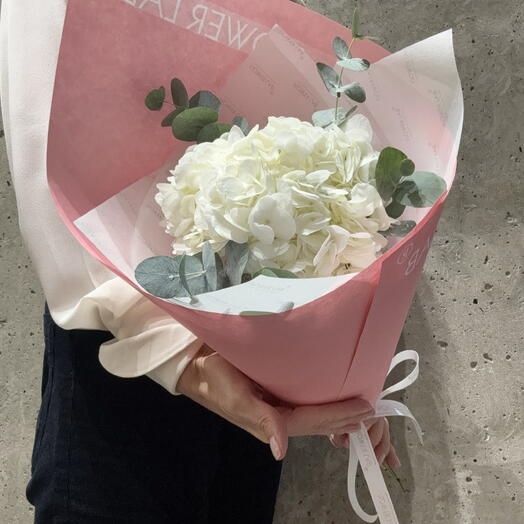 A compliment bouquet of hydrangeas and eucalyptus