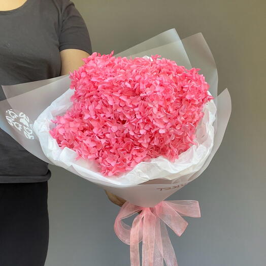 Hydrangea stabilized pink
