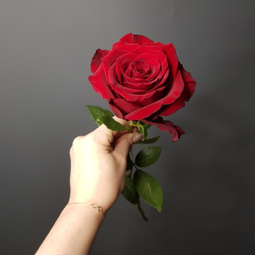 Роза Эквадор