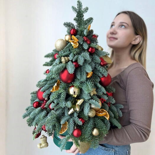 Самая лучшая новогодняя ёлочка 🎄