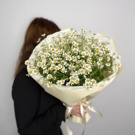 Ромашки танацетум 💛