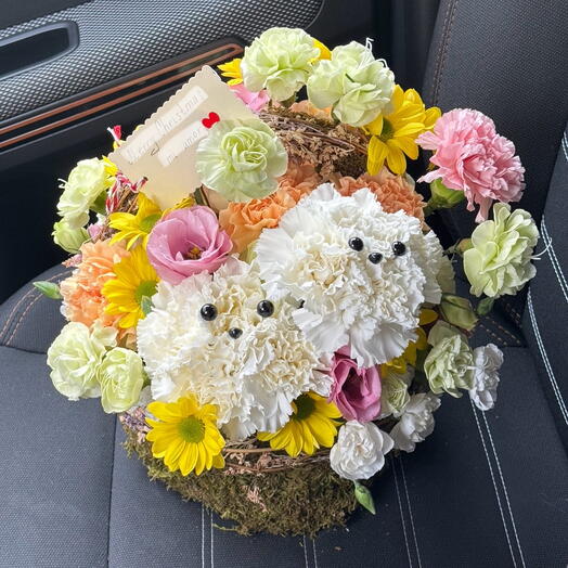 Puppies and flowers🐶🌼