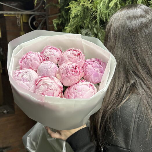 Peony Sarah Bernardt