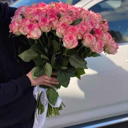 51 Роза джумилия️